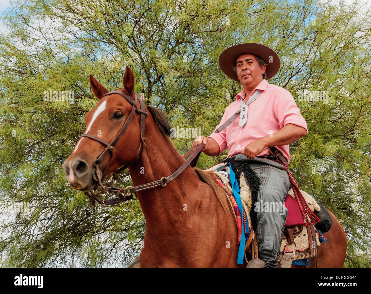 Gaucho auf seinem Pferd, vallecito, Provinz San Juan, Argentinien Stockfoto