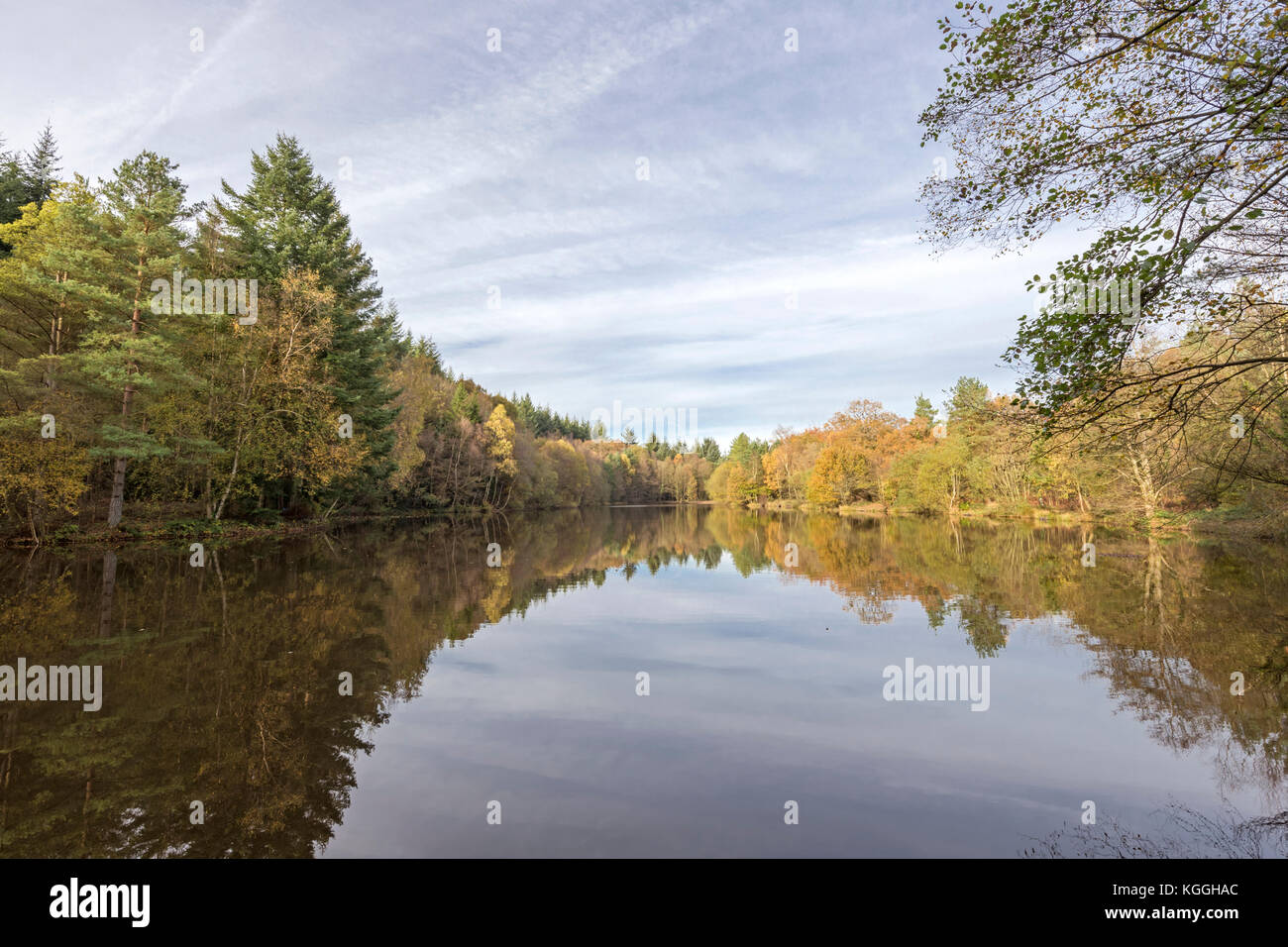 Herbst Rede Haus See, Wald von Dean, Herefordshire, England, Großbritannien Stockfoto