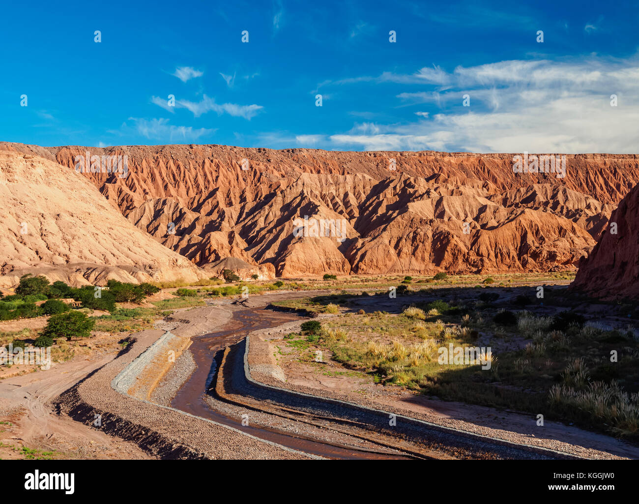 Catarpe Valley in der Nähe von San Pedro de Atacama Antofagasta Region, Chile Stockfoto