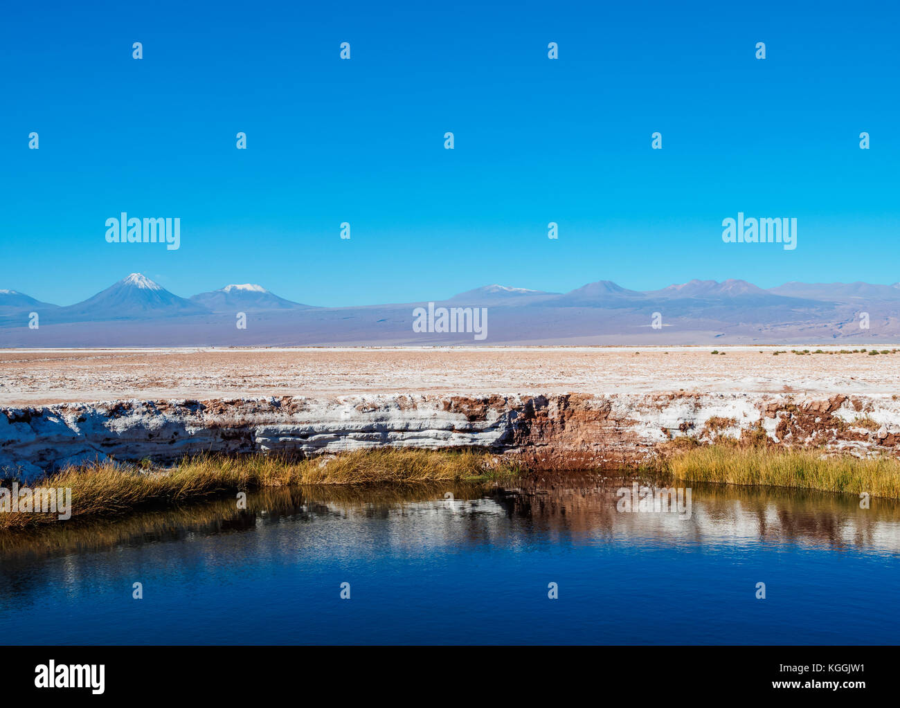 Ojos del salar Lagune, Salar de Atacama in der Nähe von San Pedro de Atacama Antofagasta Region, Chile Stockfoto