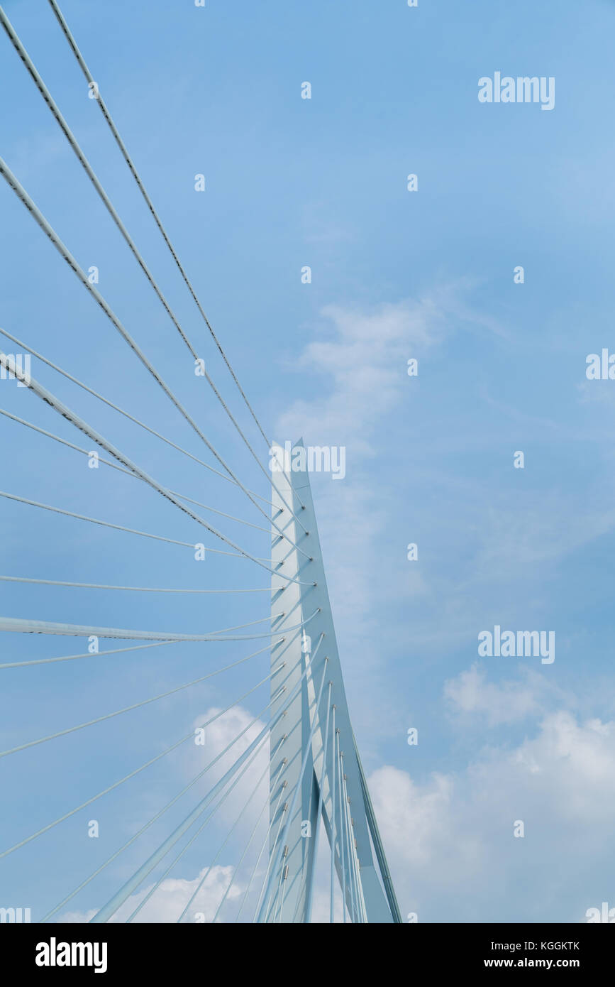 Erasmus von Rotterdam Brückenbauwerk und Kabel in den Himmel steigenden Stockfoto