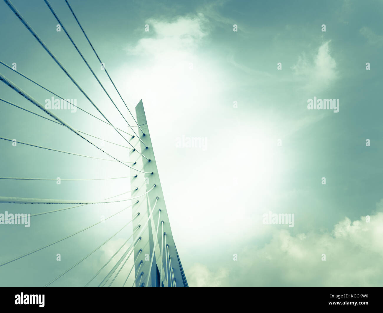 Erasmus Brücke helle weiße Struktur und bleibt die Hintergrundbeleuchtung am späten Nachmittag Sonne und bewölkter Himmel monochrom, retro Effekt blau blasse Töne. Stockfoto