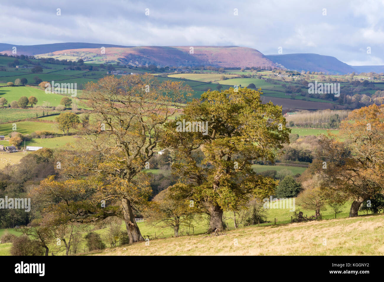 Herbst über Monmouthshire Landschaft und die fernen Black Mountains, Wales, Großbritannien Stockfoto