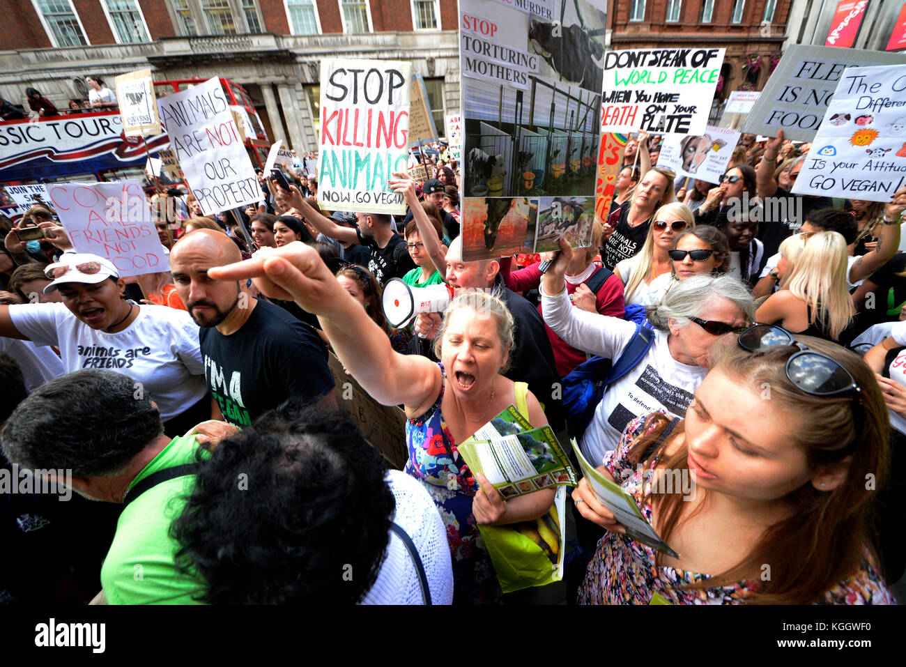 Vegan Aktivisten in Whitehall London protestieren während ein Tier rechte Protest Demonstration Kundgebung März. Plakate. Frauen Stockfoto