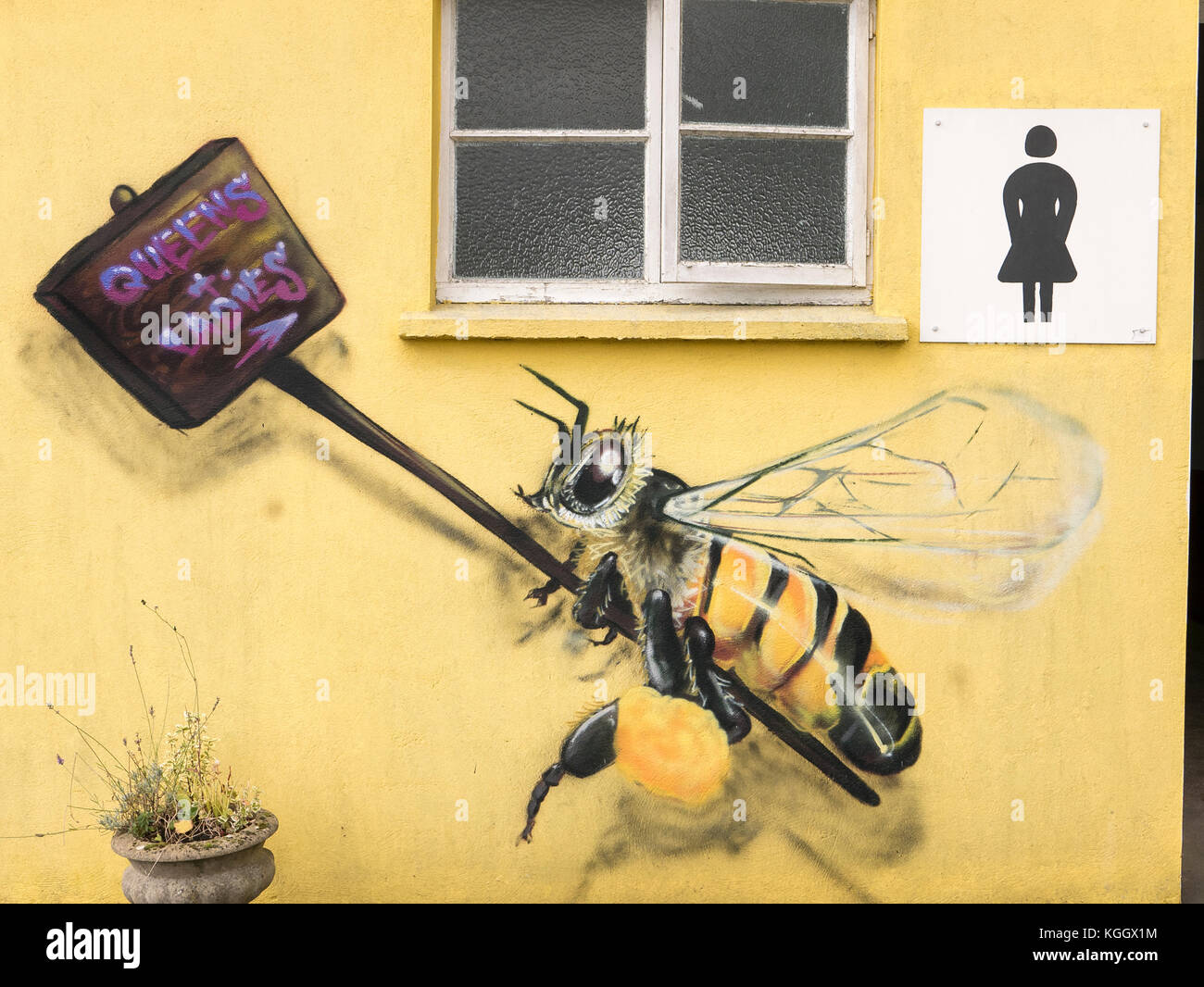 Lustige Bilder Auf Der Toilette