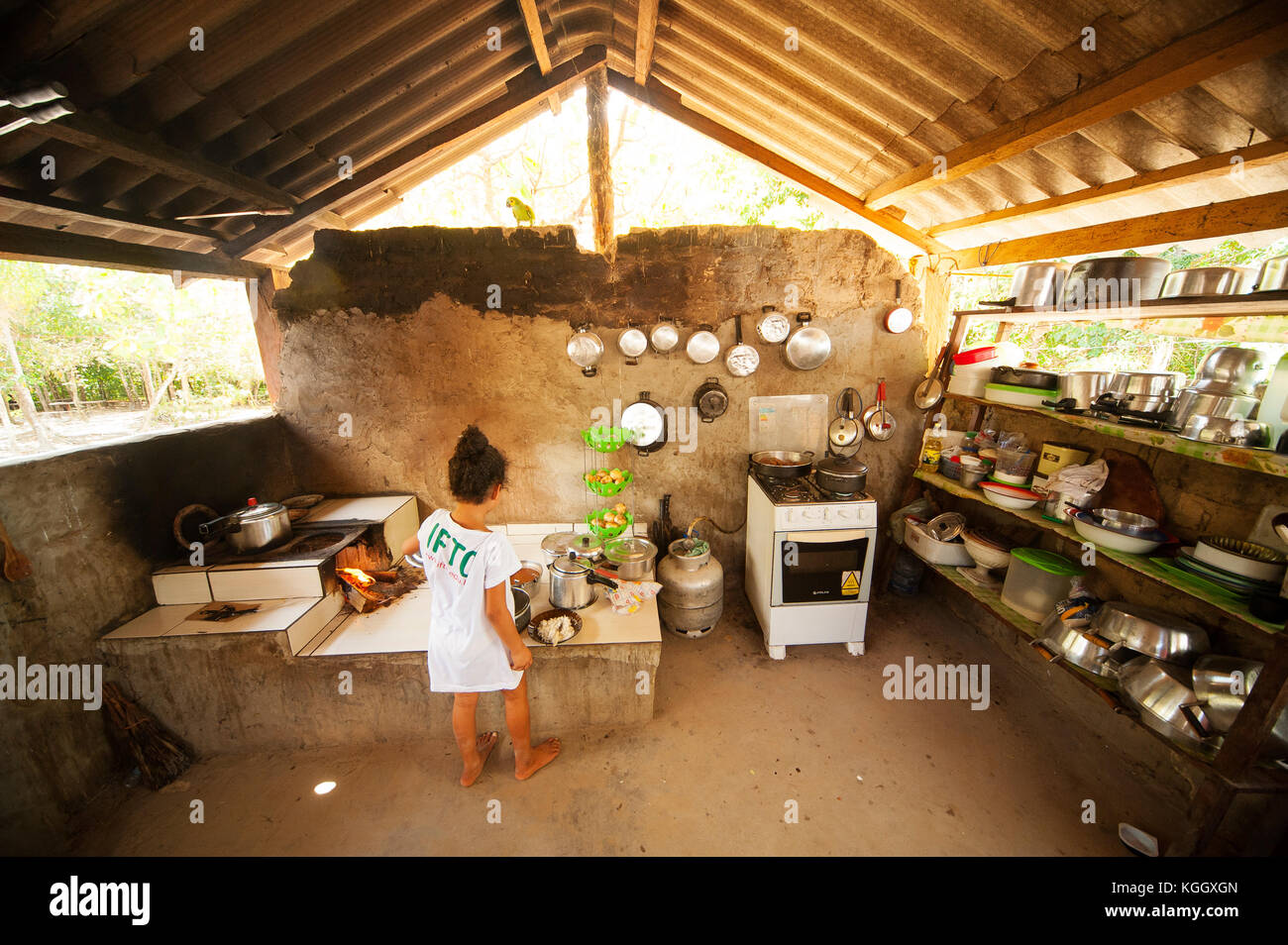 Cerrado Brazil Stockfotos & Cerrado Brazil Bilder