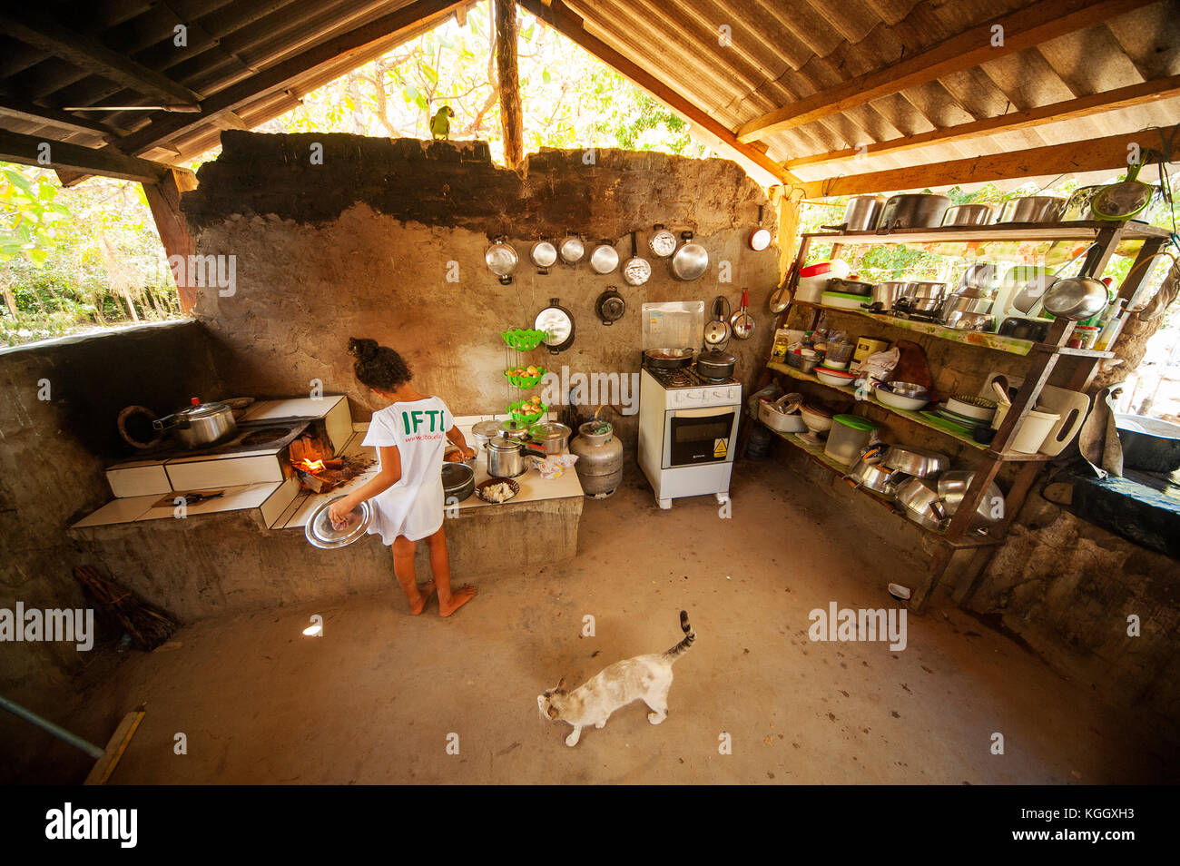Cerrado Brazil Stockfotos & Cerrado Brazil Bilder