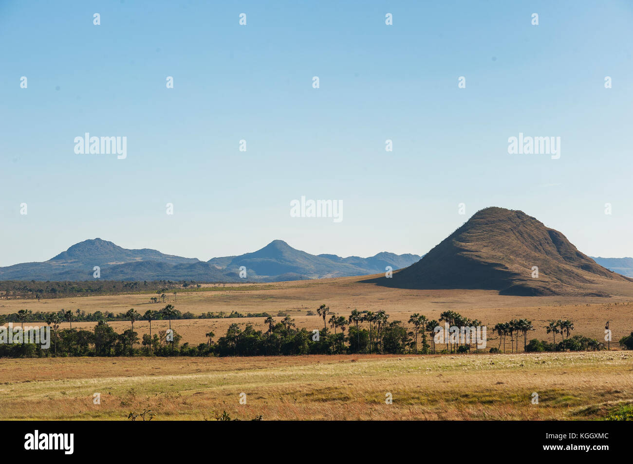 Maytreia Gärten in Chapada dos Lambari, Goiás, Brasilien Stockfoto