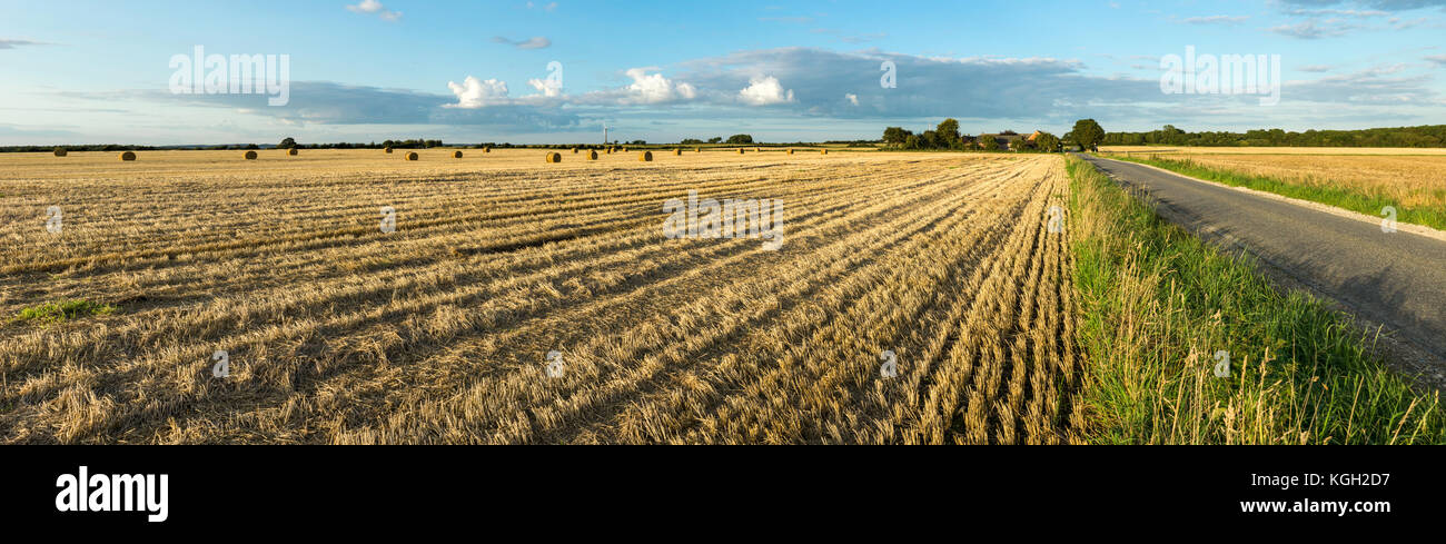 Landwirtschaftliche Heu Feld mit Ballen und Straße. sunset Licht und blauer Himmel. Panoramablick. Stockfoto