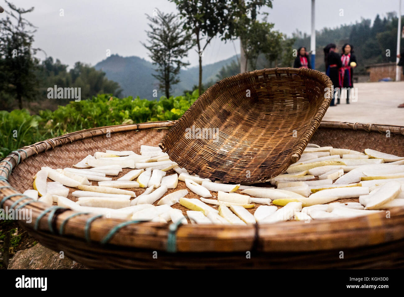 Trocknen Rettich Stücke in einem geflochtenen Korb in China. Frauen in traditioneller Kleidung im Hintergrund. Stockfoto