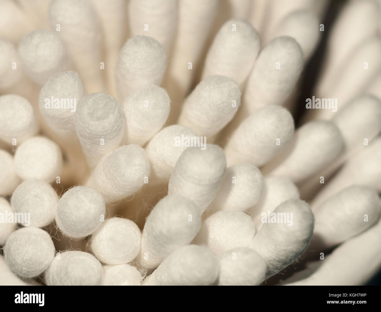 Nahaufnahme Makro weisser Baumwolle Wolle Ohrstöpsel q-Tip enden; Essex, England, Großbritannien Stockfoto