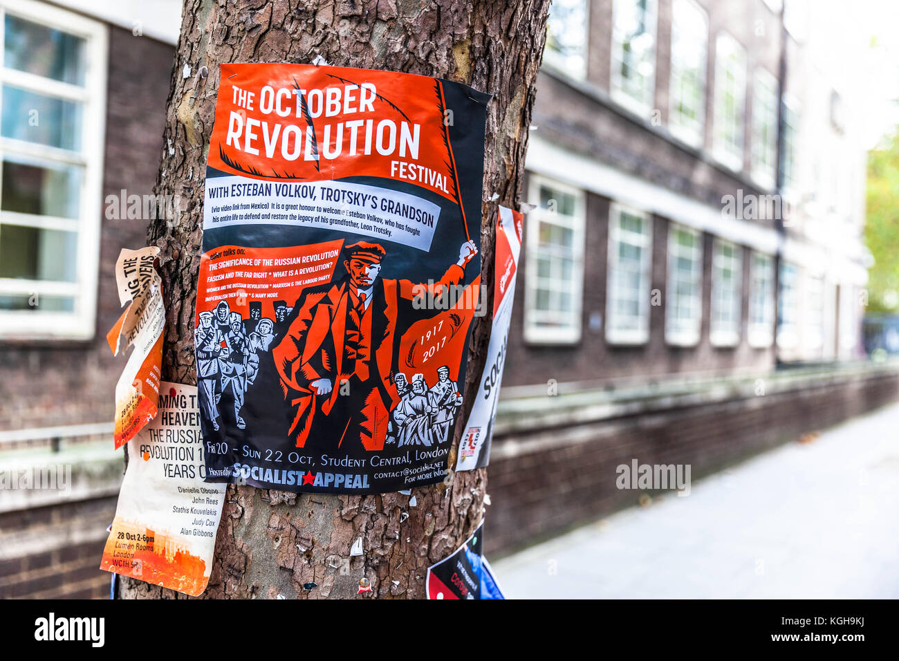 Ein Plakat des Oktoberrevolution-Festivals, das an einen Baum geheftet ist, Gower Street, Bloomsbury, London, England, Großbritannien. Stockfoto
