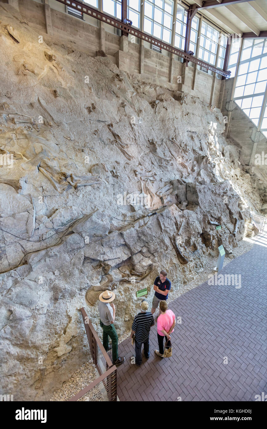 Besucher & Dinosaurier Fossilien im Steinbruch - Dinosaur National Monument, UT Stockfoto