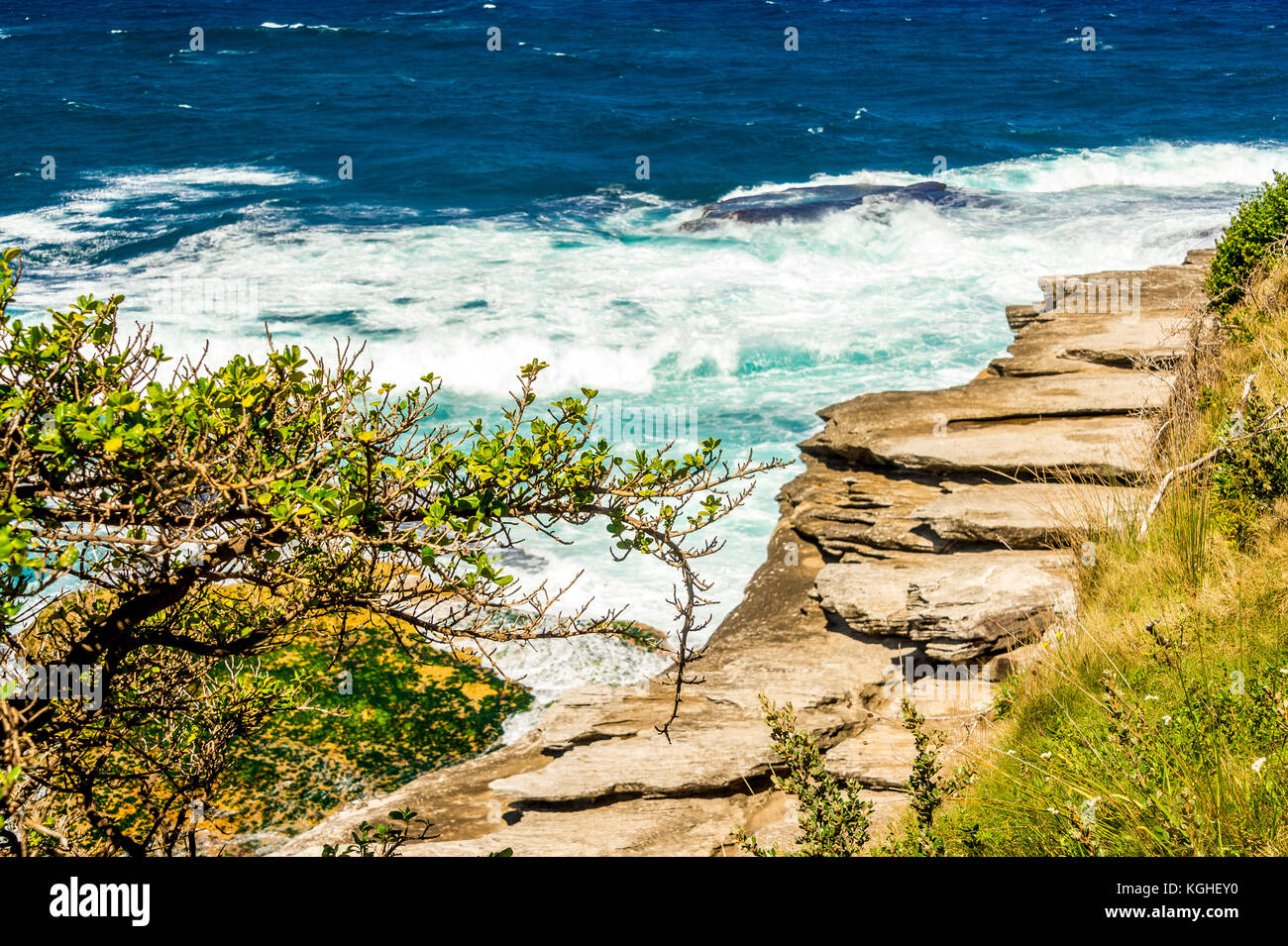 Der Blick auf den Bondi zu Nähe: Tamarama Beach in Sydney, NSW, Australien Stockfoto