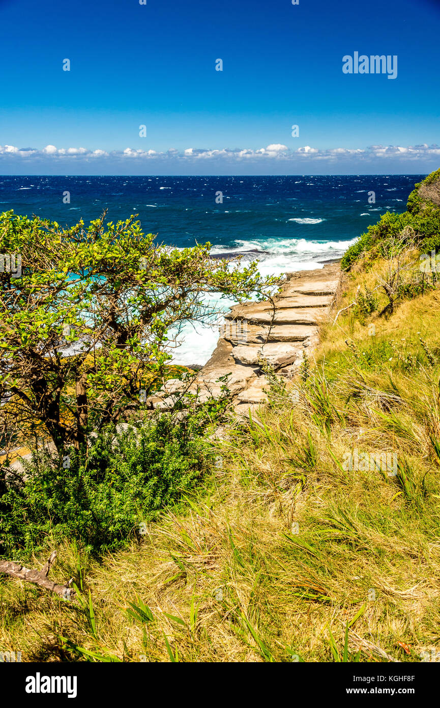 Der Blick auf den Bondi zu Nähe: Tamarama Beach in Sydney, NSW, Australien Stockfoto