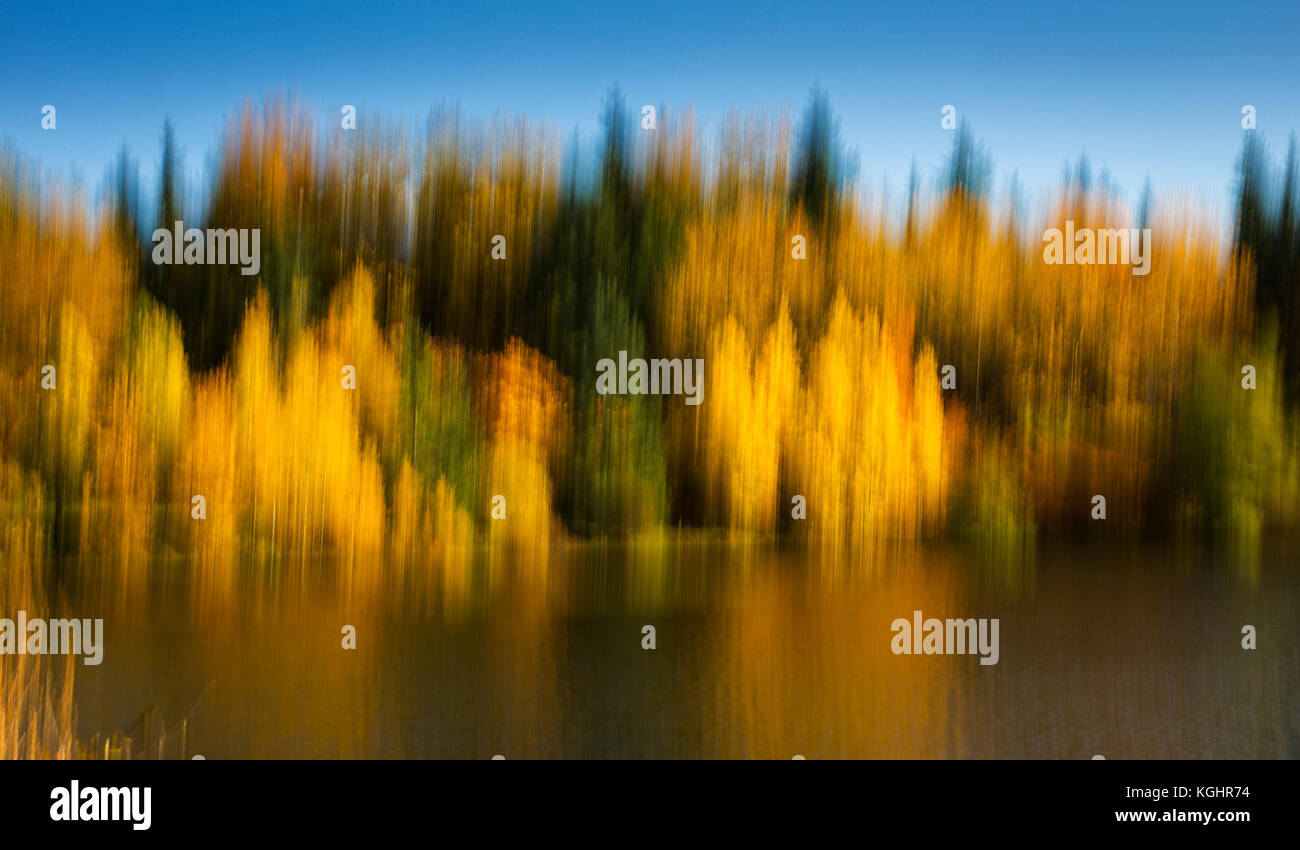 Die herbstlichen Baum panning. motion blur. Bunte Bäume am Teich. blue sky. Stockfoto