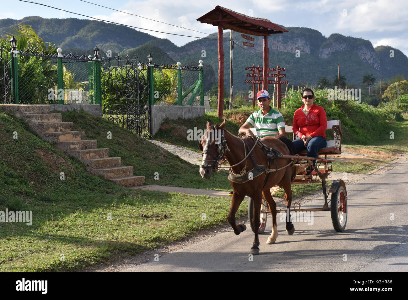 Pferdekutsche Pinar del Rio Kuba Stockfoto