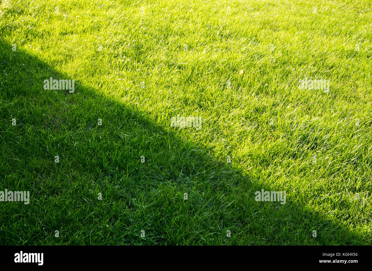 Grüne Gras Symmetrie Licht und Schatten Stockfoto