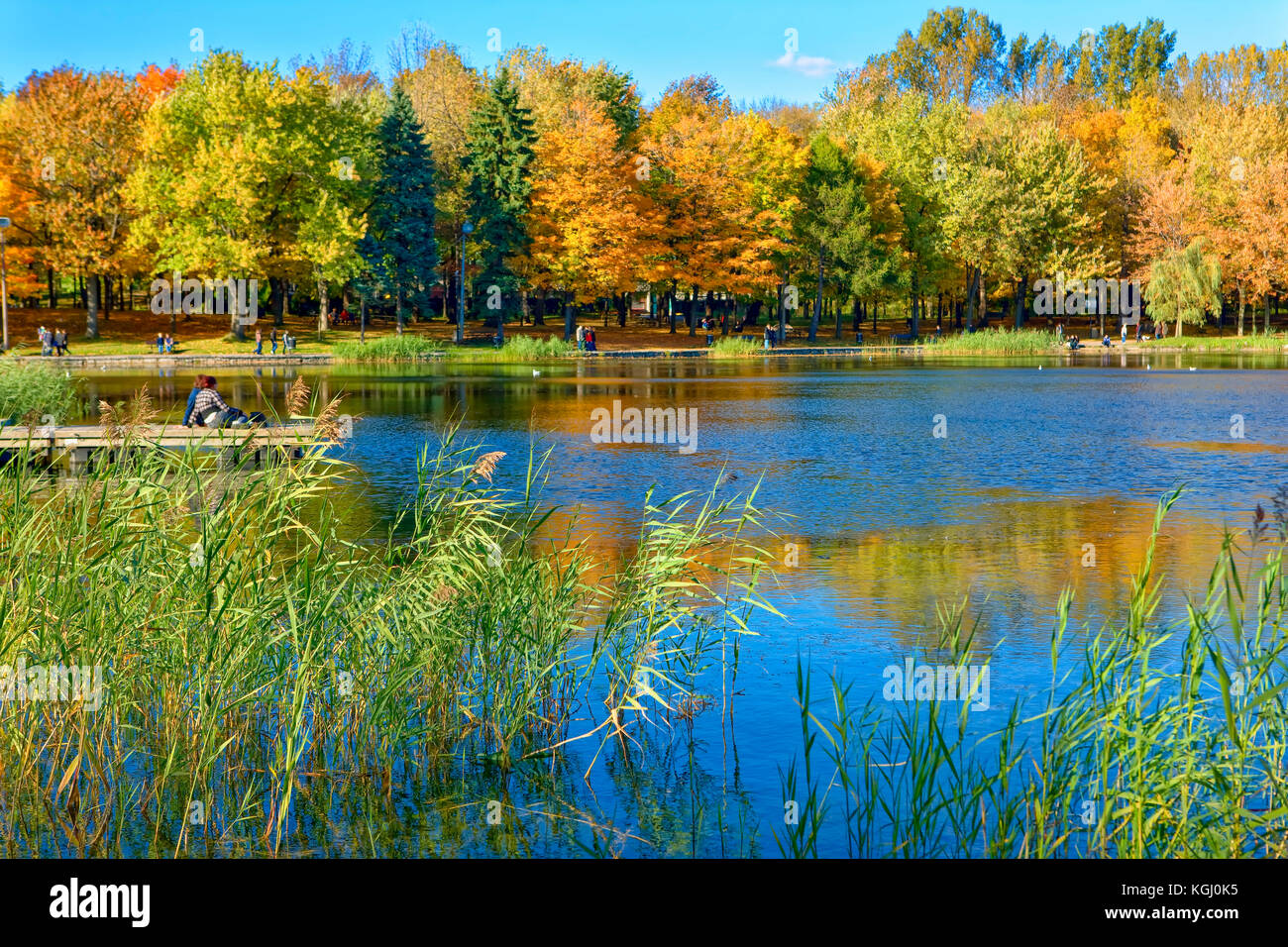 Lac des Rollen, Parc du Mont Royal, Montreal, Kanada Stockfoto