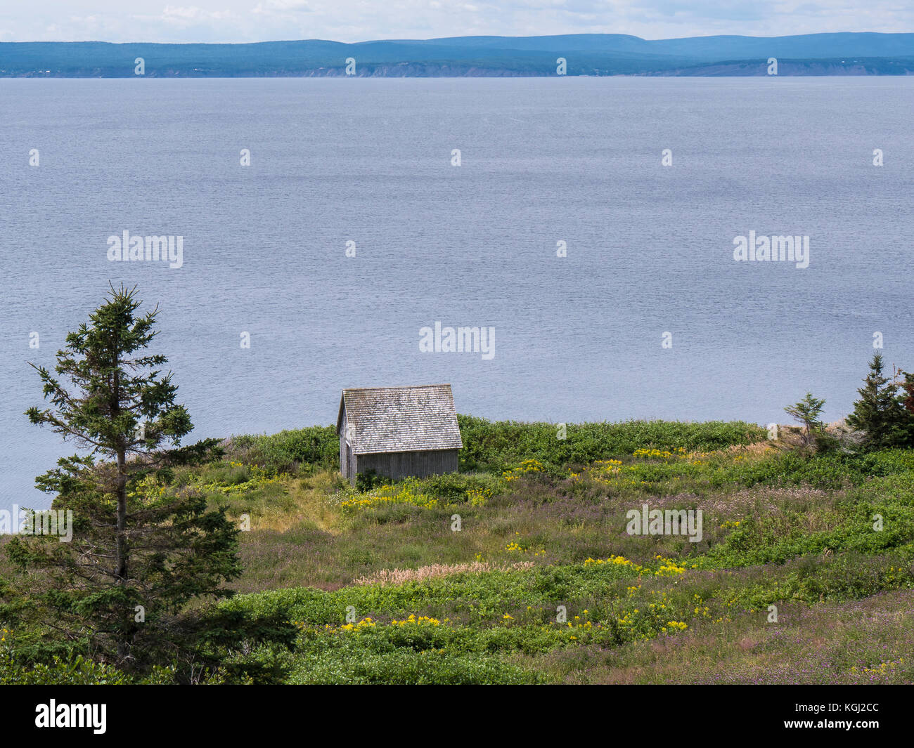 Verlassene Scheune, Le Gräber Trail, Forillon National Park, Gaspe Halbinsel, Kanada. Stockfoto