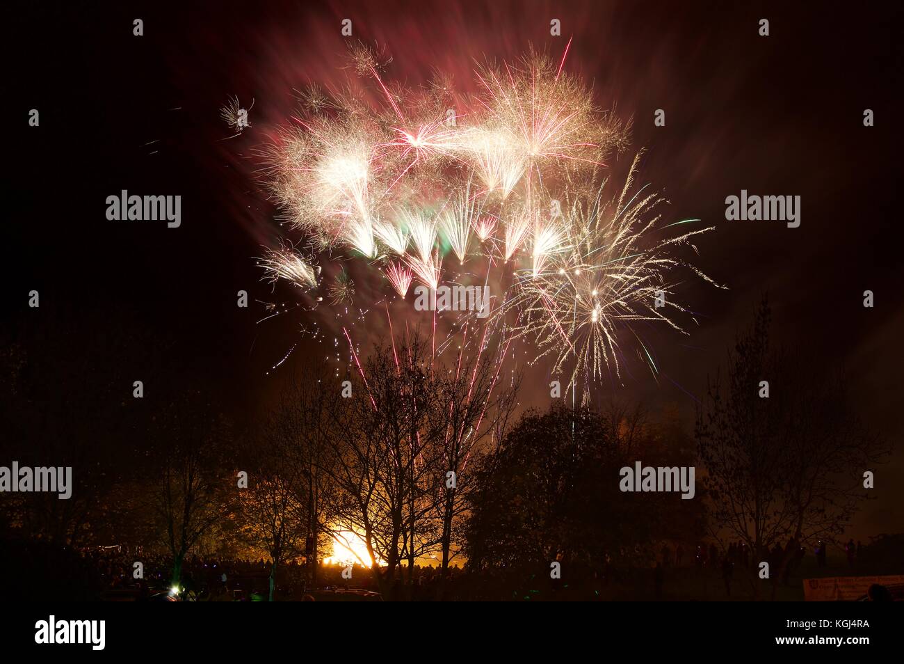 Feuerwerk über Bäume mit Lagerfeuer am heiligen Herzen Grundschule, Bushey, Hertfordshire, Großbritannien Stockfoto