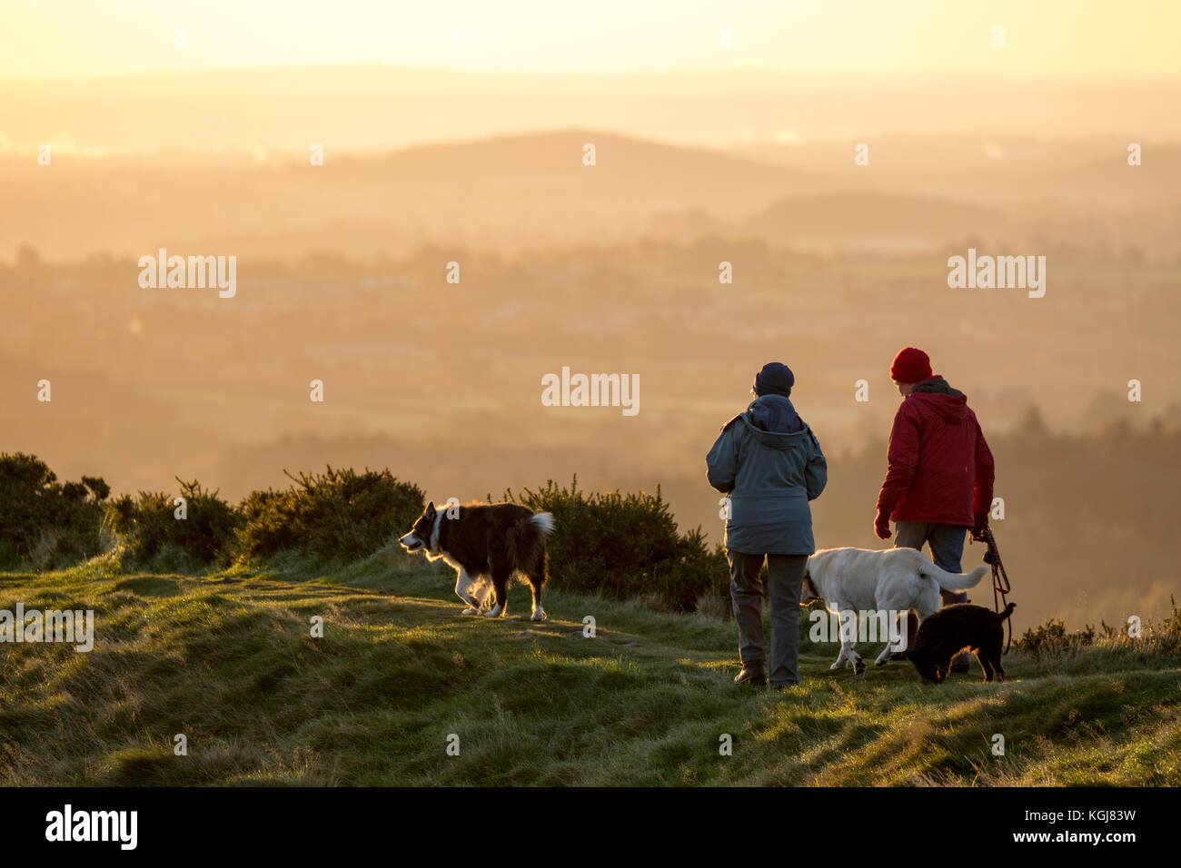 Flintshire, Norden, Großbritannien. 8 Nov, 2017. UK Wetter. Einen kalten frostigen Start für einige heute Nach dem Regen gestern ist ein Tag und Clearing Skies für den Rest des Tages. Hund Wanderer gekleidet für den Frost einen Sonnenaufgang gehen mit ihren Hunden entlang der ridgeline von moel-y-Gaer und die Eisenzeit in der Nähe von hillfort Rhosesmor Credit: DGDImages/Alamy leben Nachrichten Stockfoto