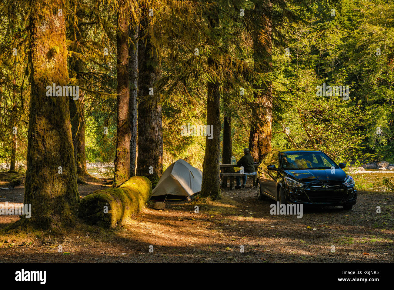 Camping über Queets River, Queets Campground, Olympic National Park, Washington State, USA Stockfoto