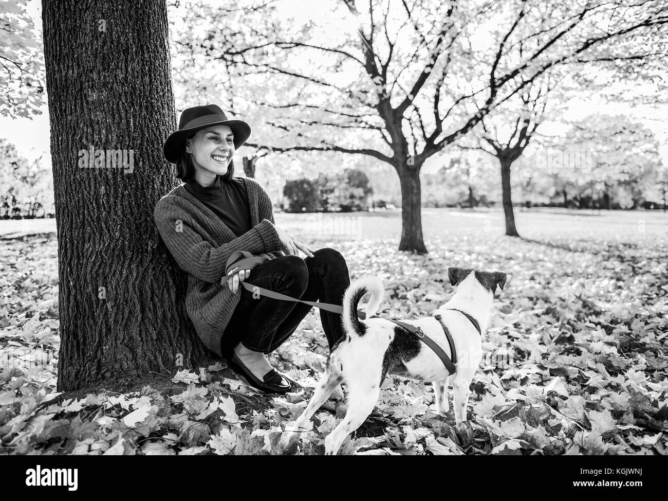 Porträt der jungen Frau mit niedlichen Hund sitzen unter Baum im Herbst Park Stockfoto