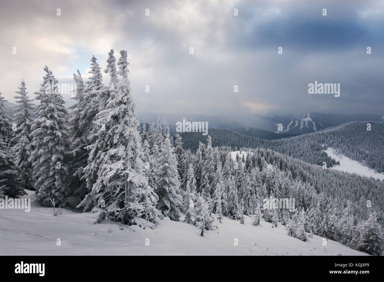 traumhafte Winterlandschaft Stockfoto