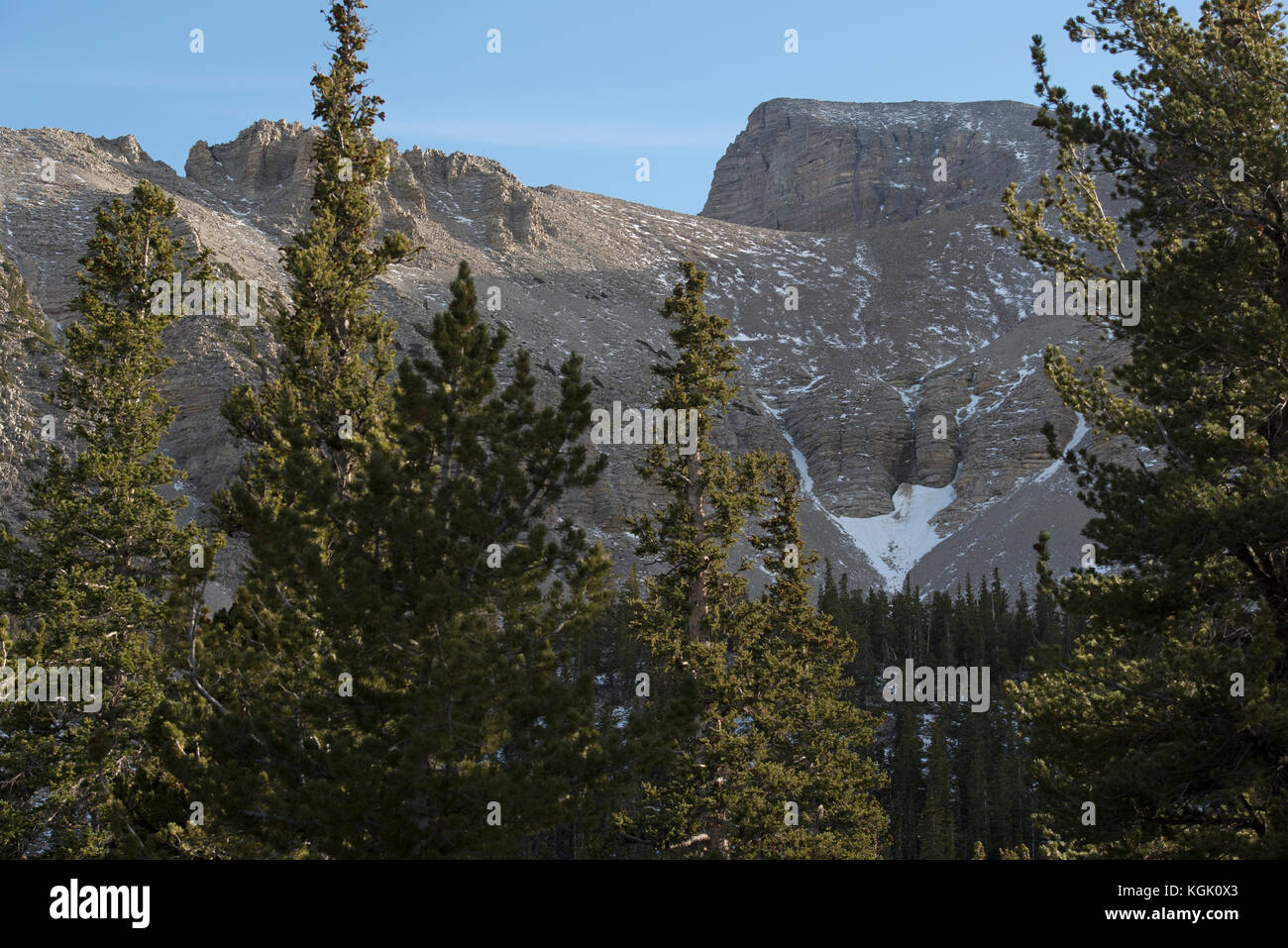 Wheeler Peak, Great Basin National Park, Baker, Nevada, USA Stockfoto