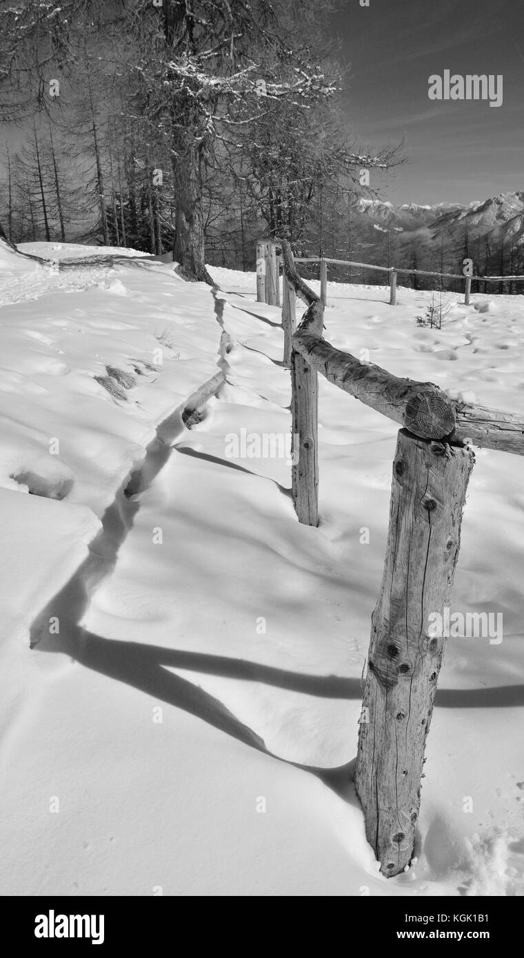 Holz- Beiträge in den Schnee auf Monte Lussari, Friaul Julisch Venetien, im Nordosten Italiens. Stockfoto