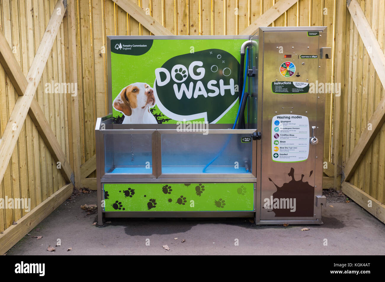 Hund waschen Maschine in einem öffentlichen Wald gehen, Wyre Forest, Großbritannien Stockfoto