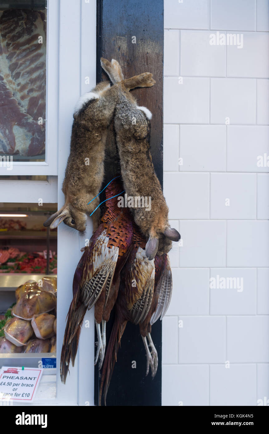 Kaninchen und Fasanen außerhalb einer traditionellen englischen Land Metzger, Ludlow, Shropshire, Großbritannien hängen Stockfoto