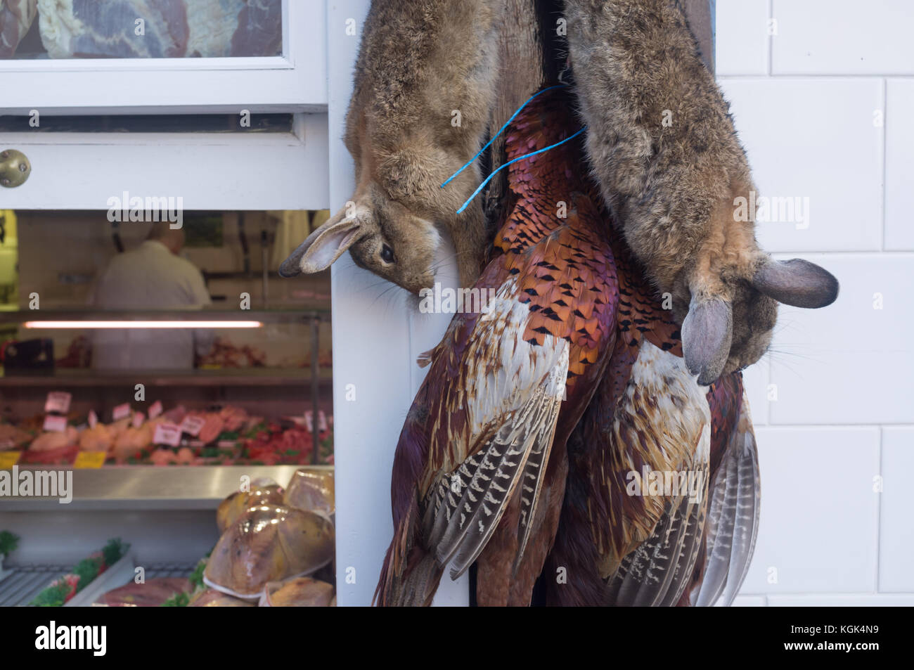 Kaninchen und Fasanen außerhalb einer traditionellen englischen Land Metzger, Ludlow, Shropshire, Großbritannien hängen Stockfoto