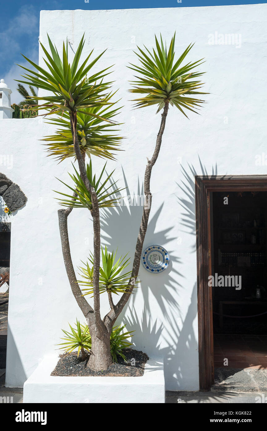 Cesar Manrique Haus und Museaum, Haria, Lanzarote, Kanarische Inseln, Spanien Stockfoto