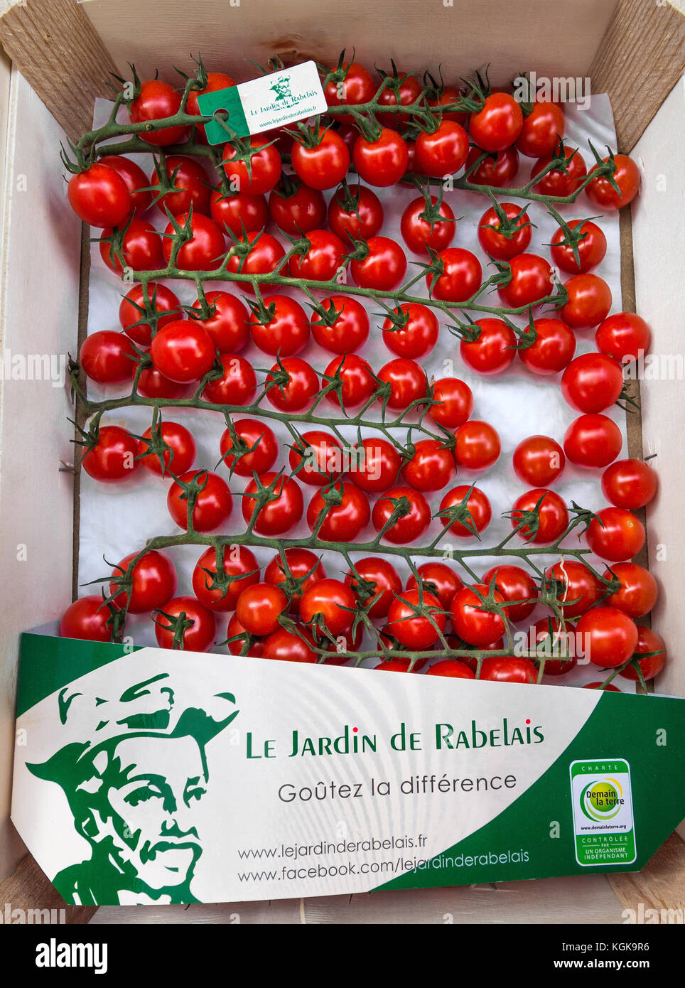 Box mit Cherry Tomaten auf den französischen Markt. Stockfoto