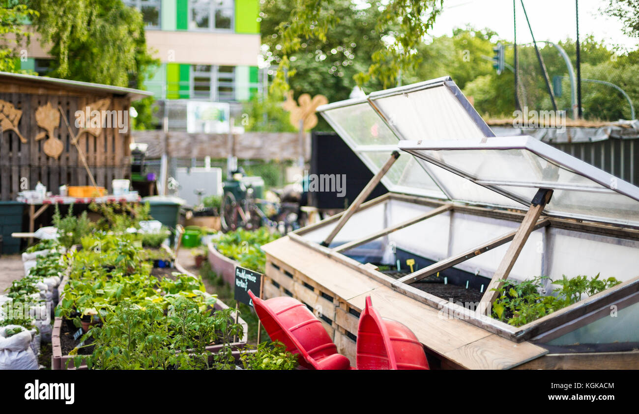 Gartenprojekt in Berlin. Diese urbane Gartenarbeit ist freundlich und nett zu Pflanzen und Menschen. Stockfoto