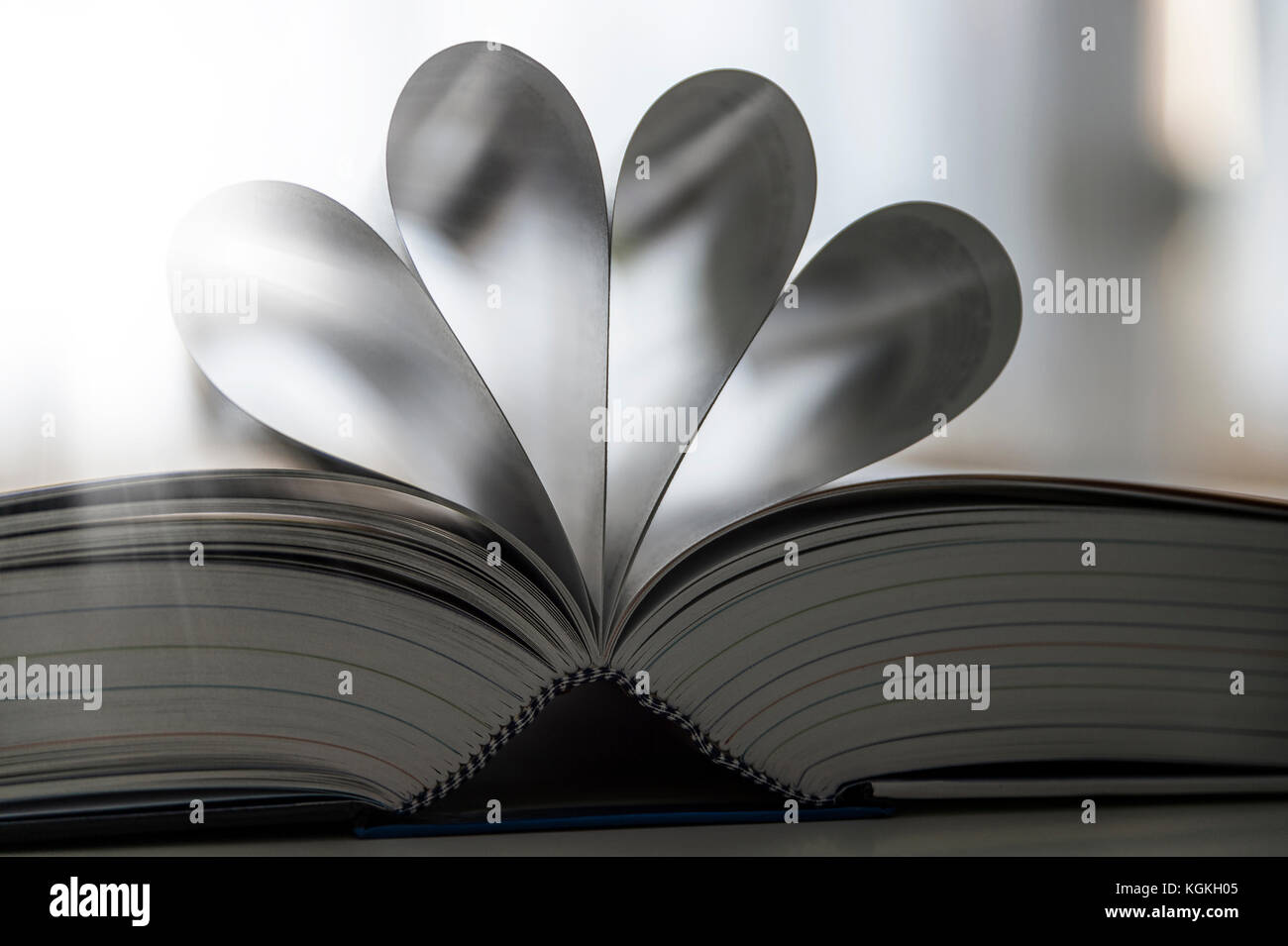 Close-up, offenes Buch im Gegenlicht, Nahaufnahme Stockfoto