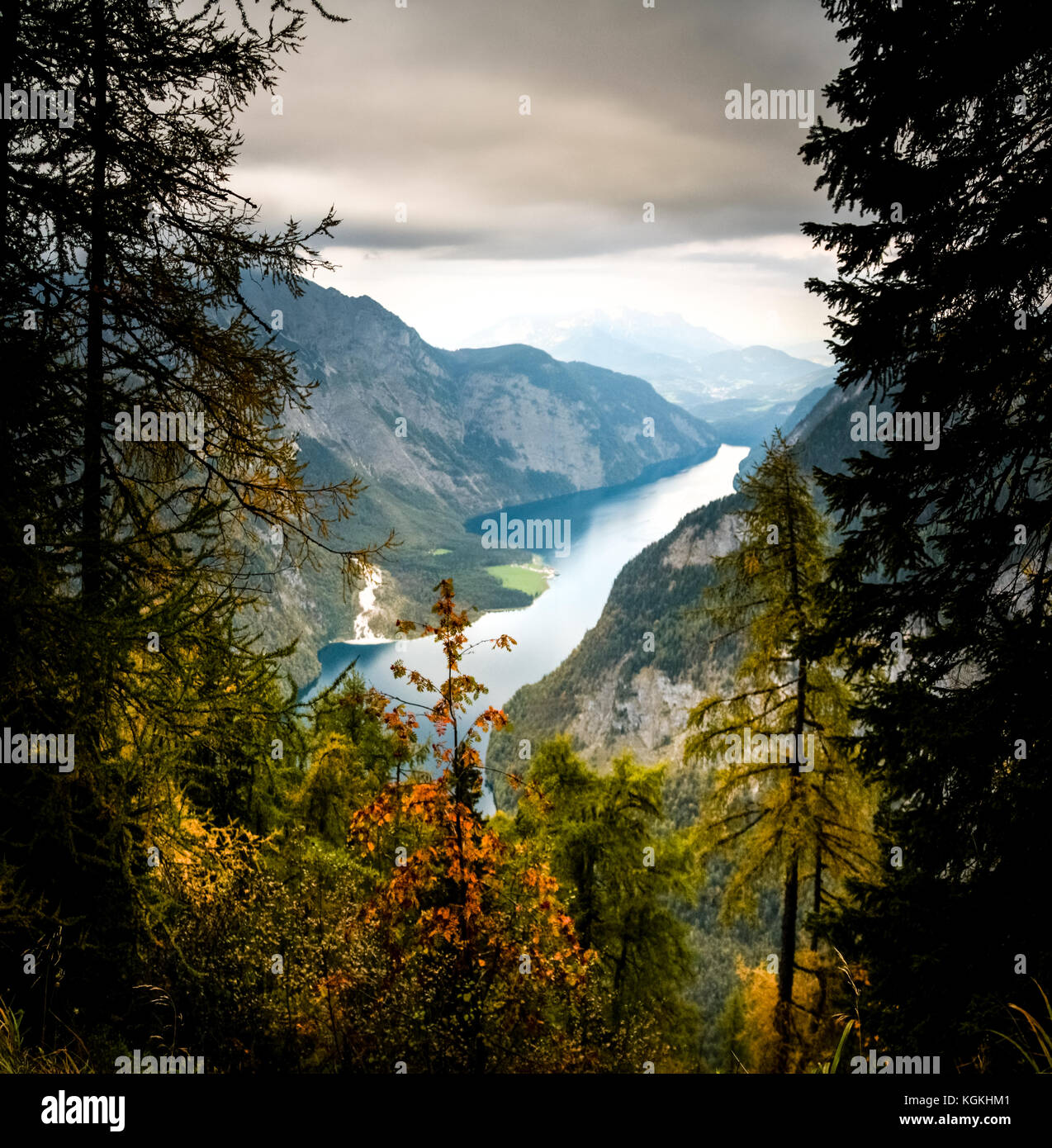 Bunte Bäume mit Berge und den See. Nationalpark Berchtesgaden. Stockfoto