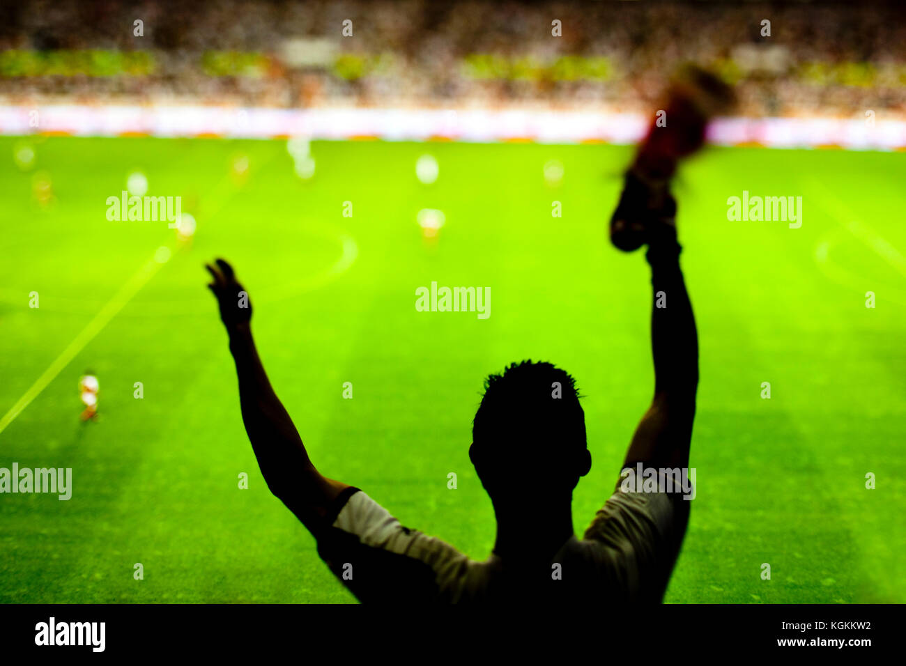 Fußball-Fan seine Mannschaft anfeuern im Stadion, Spanien. Stockfoto