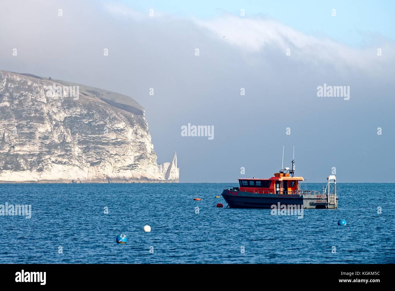 Old Harry Rocks Swanage Bay Dorset Engalnd UK Stockfoto