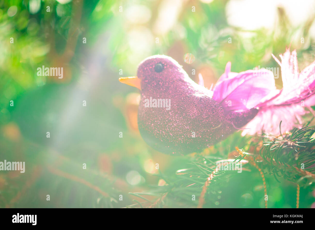 Rosa Vogel im grünen Weihnachtsbaum Stockfoto