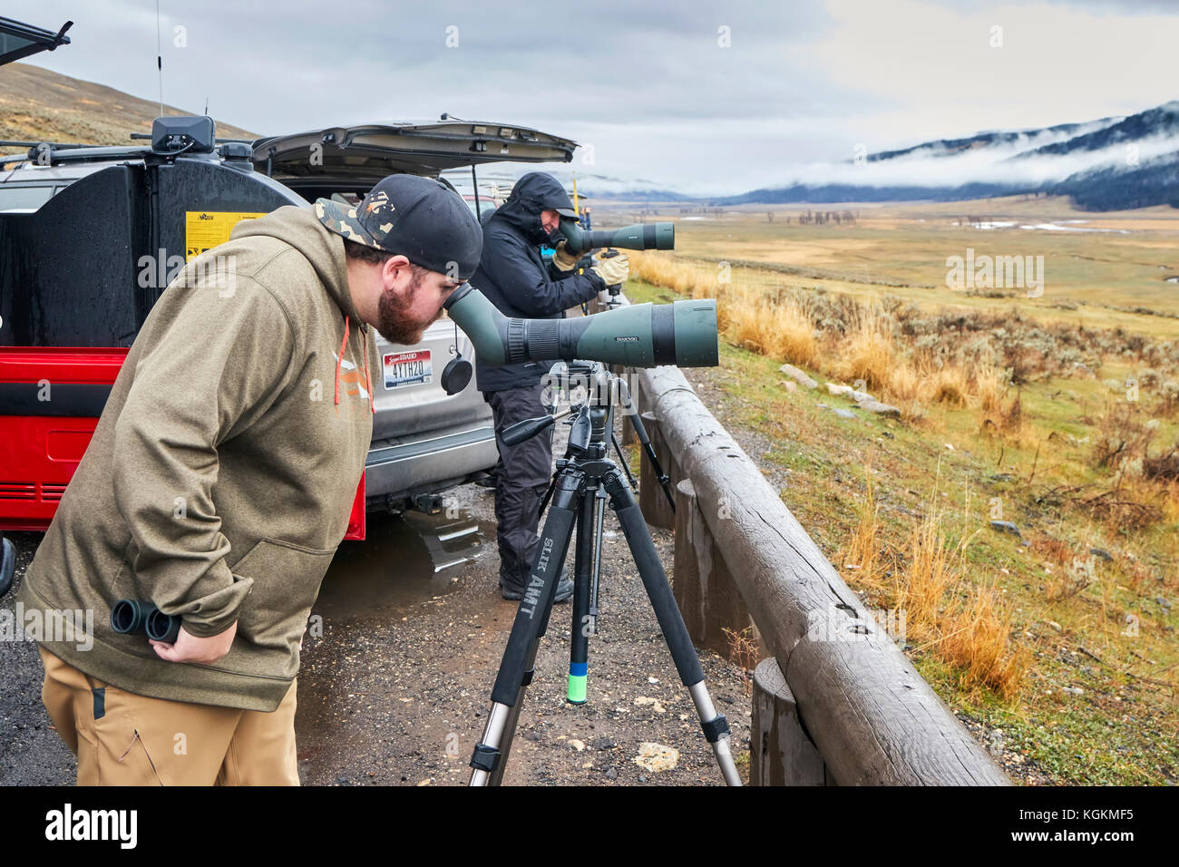 Yellowstone National Park, Wyoming, USA - Oktober 29, 2016: Wildlife watchers Wolfs in einem kalten regnerischen Tag beobachten. Stockfoto