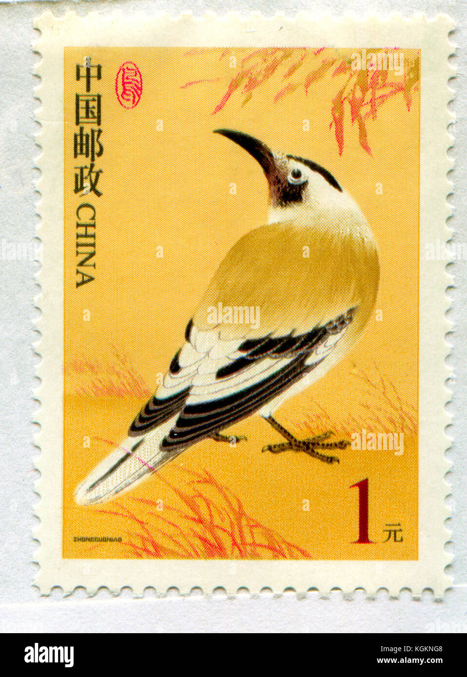 GOMEL, BELARUS, 27. Oktober 2017, Stempel gedruckt in China zeigt ein Bild der Vögel, circa 2017. Stockfoto
