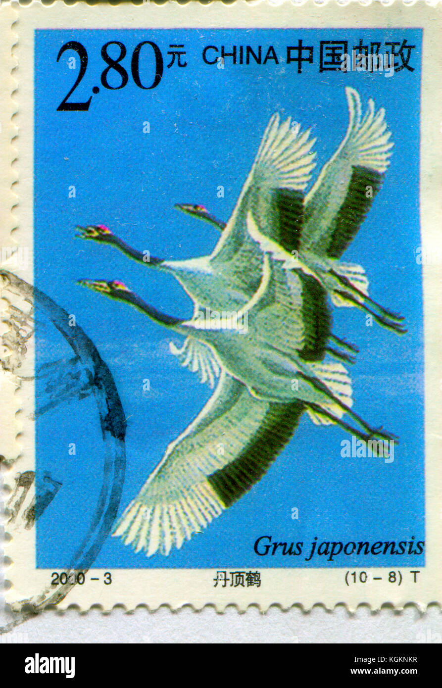 GOMEL, WEISSRUSSLAND, 27. OKTOBER 2017, Briefmarke gedruckt in China zeigt Bild des Grus japonensis, um 2000. Stockfoto
