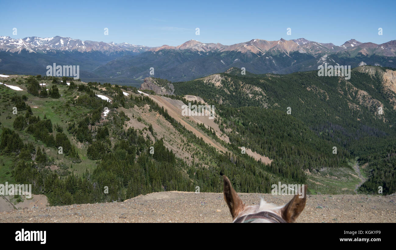 Pferd Perspektive - mit Blick auf die Berge und die Aussicht genießen. South Chilcotin Mountain Park, British Columbia, Kanada Stockfoto