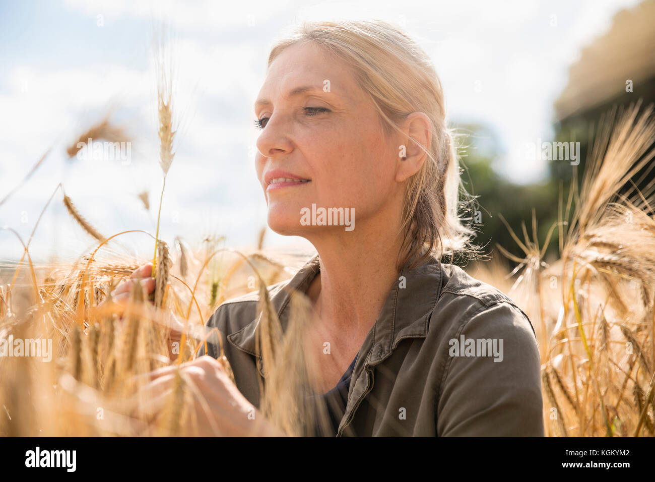 Nachdenklich lächelnd Frau an Weizen Ohr im Bauernhof auf sonnigen Tag suchen Stockfoto