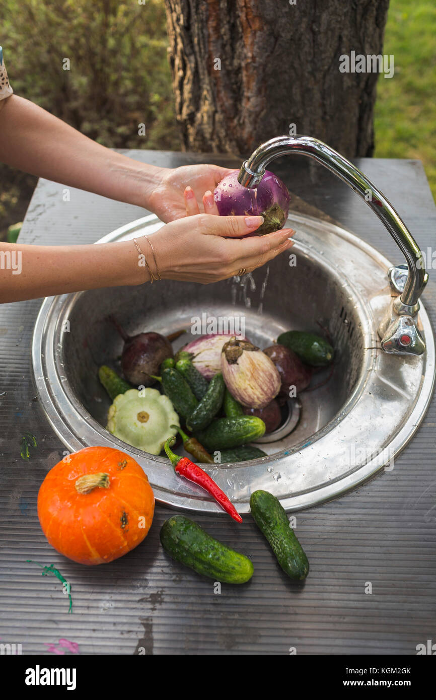 7/8 Bild der Frau waschen frische Gemüse am Waschbecken im Hof Stockfoto