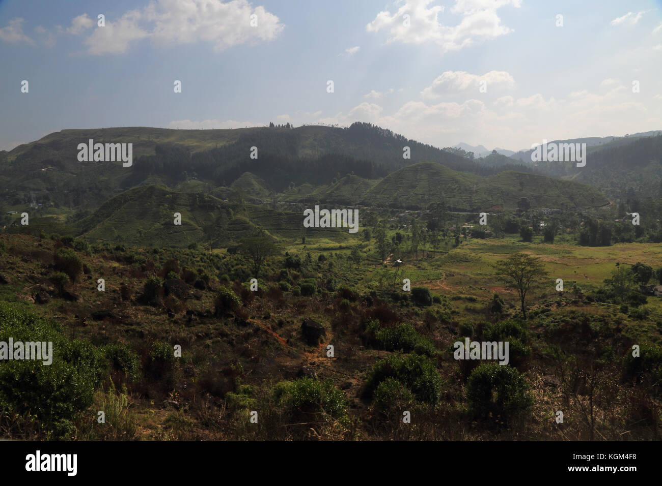 Landschaft Hügel Land zentrale Provinz Sri Lanka Stockfoto