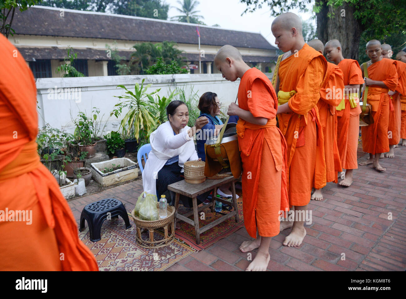 Die Mönche gehen auf Almosen Runde entlang der Strasse am Morgen von Luang Prabang, Laos. Stockfoto